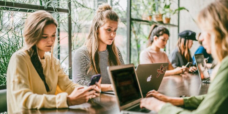 professionelt-cv-studybuddy