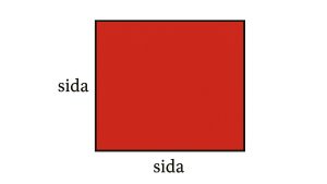 beräkna area kvadrat