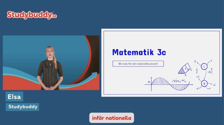 elsas och lukas bästa tips matte 3c