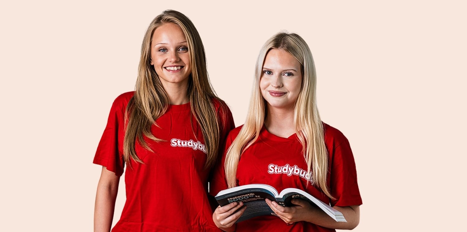 studybuddy kontakta